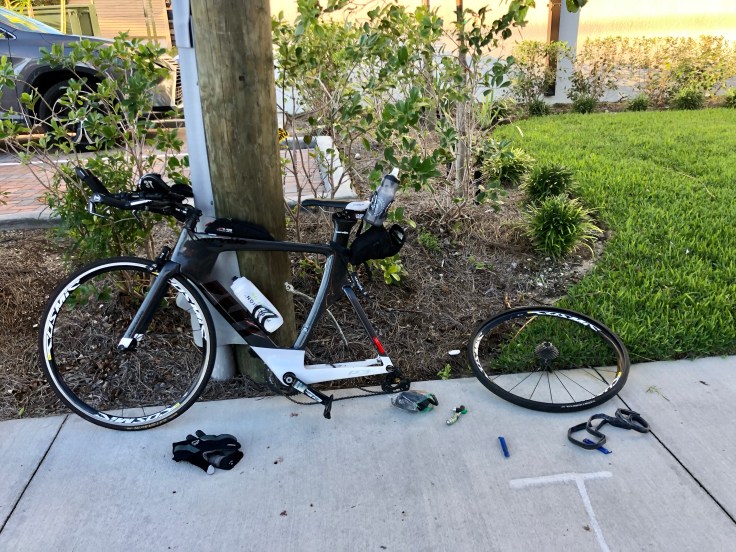 531B96D4-33DD-471F-92EC-4346ACDF8844_1_201_a